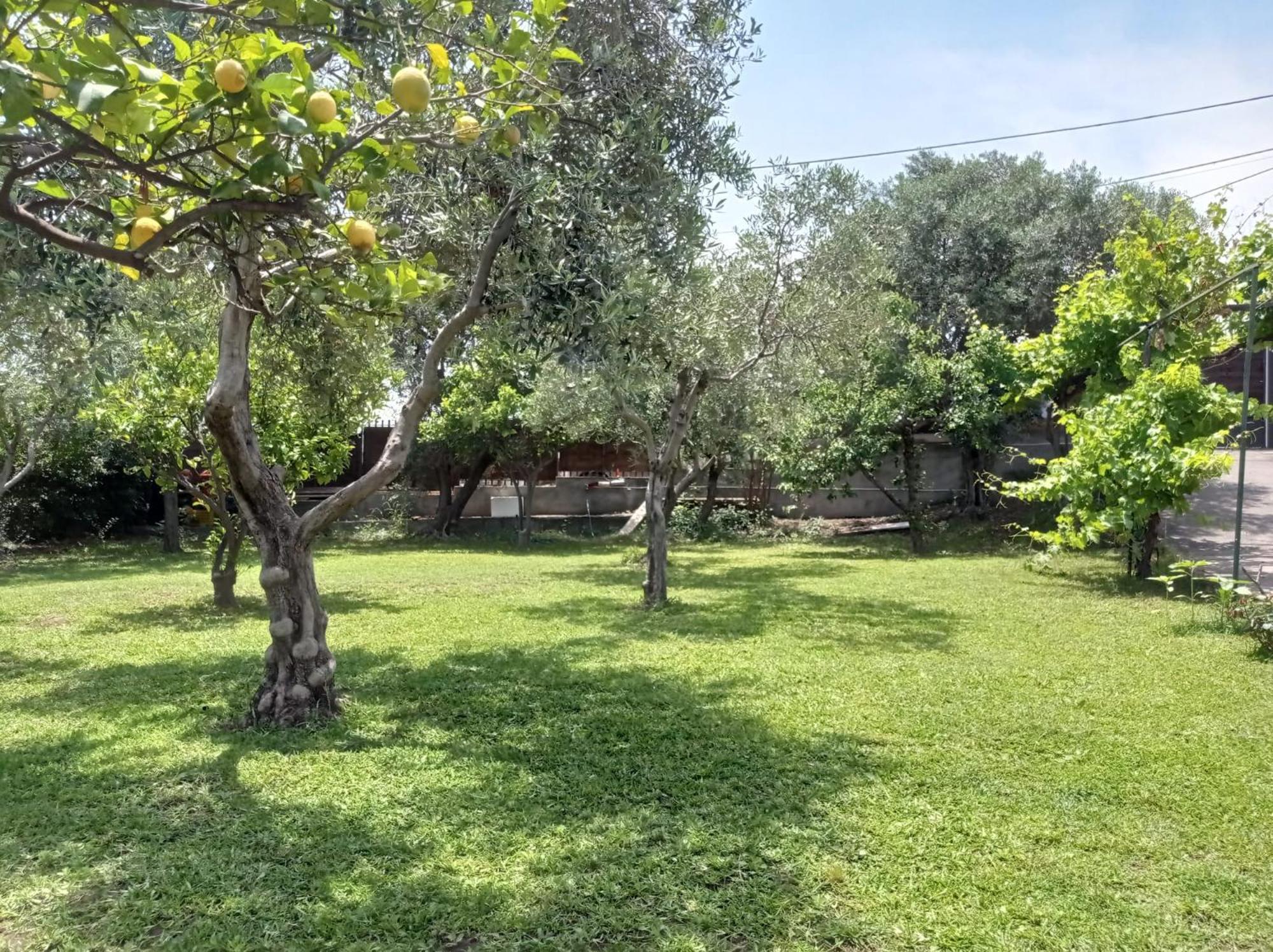 הוילה אצ'י קסטלו Ai Tre Desideri La Casita מראה חיצוני תמונה