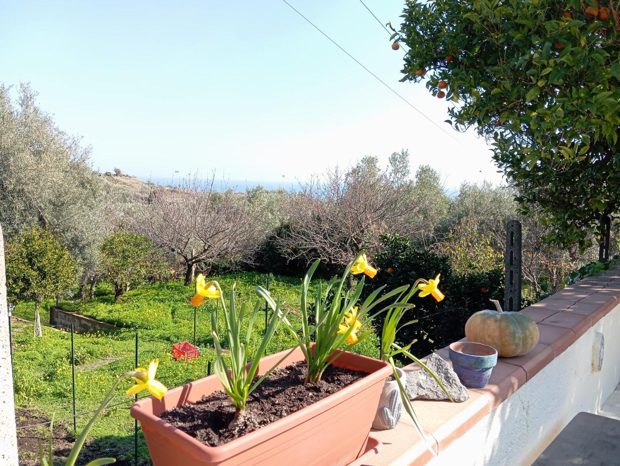 הוילה אצ'י קסטלו Ai Tre Desideri La Casita מראה חיצוני תמונה