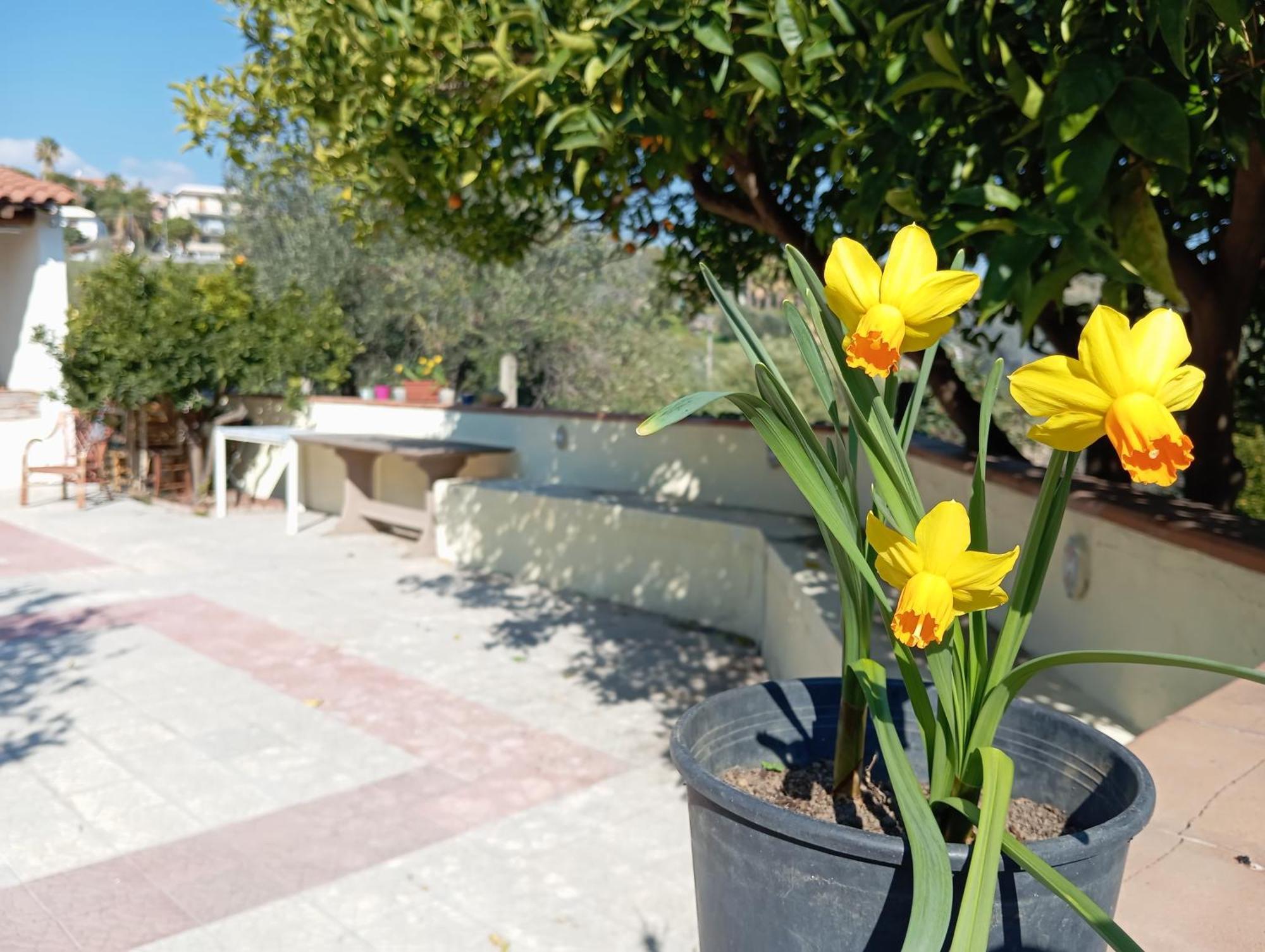 הוילה אצ'י קסטלו Ai Tre Desideri La Casita מראה חיצוני תמונה